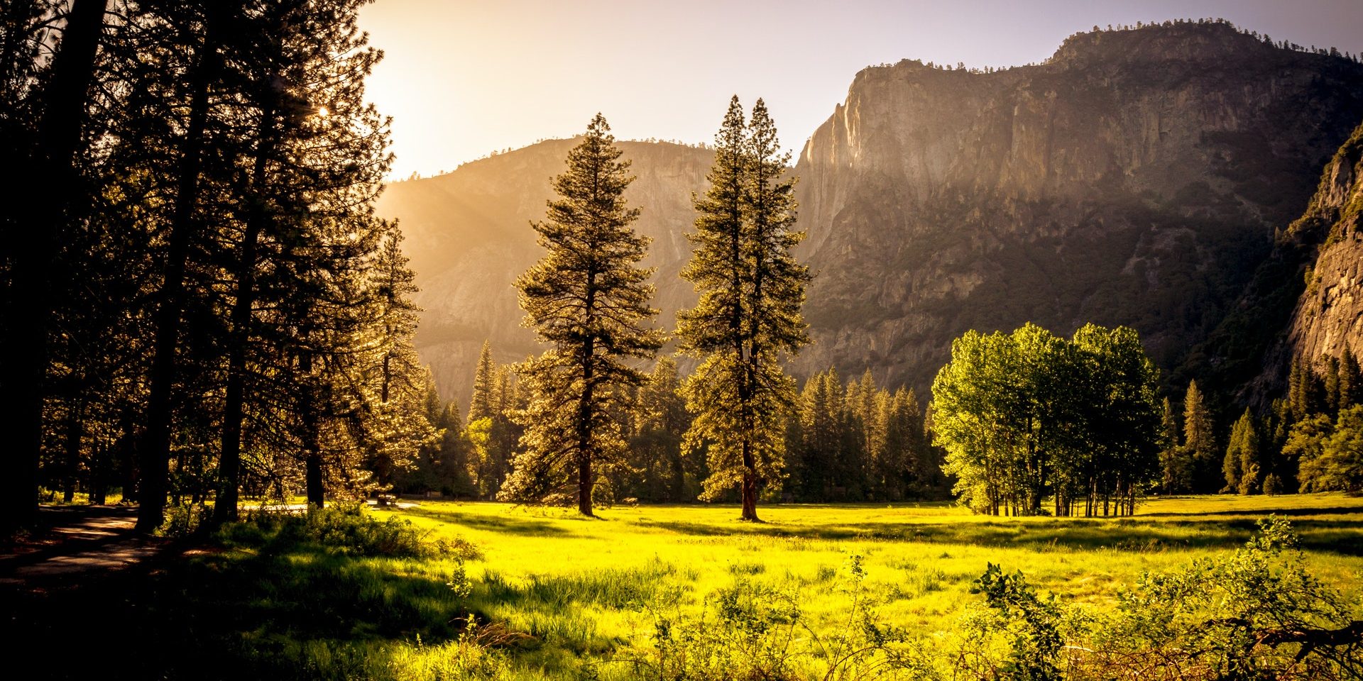 pexels-andré-cook-131723