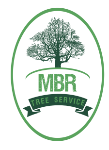 MBR Tree Service